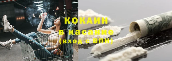 индика Абинск