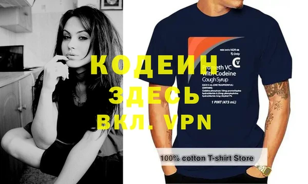 индика Абинск