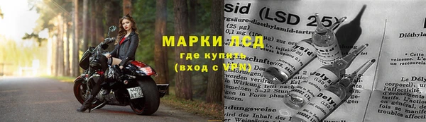 индика Абинск